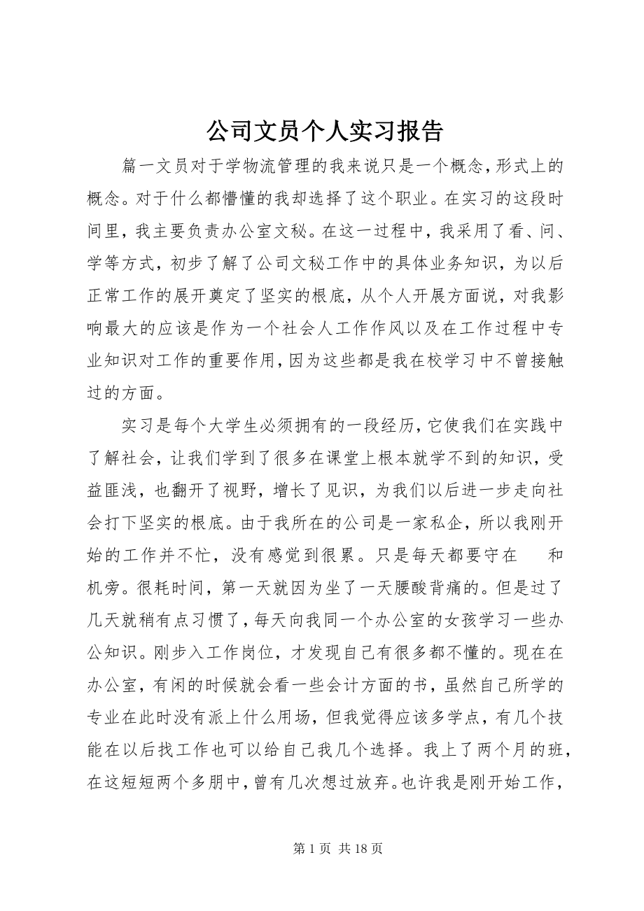 2023年公司文员个人实习报告.docx_第1页