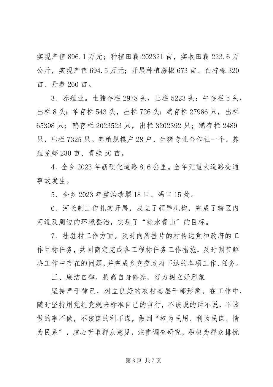 2023年副乡长个人述职述廉述法报告.docx_第3页