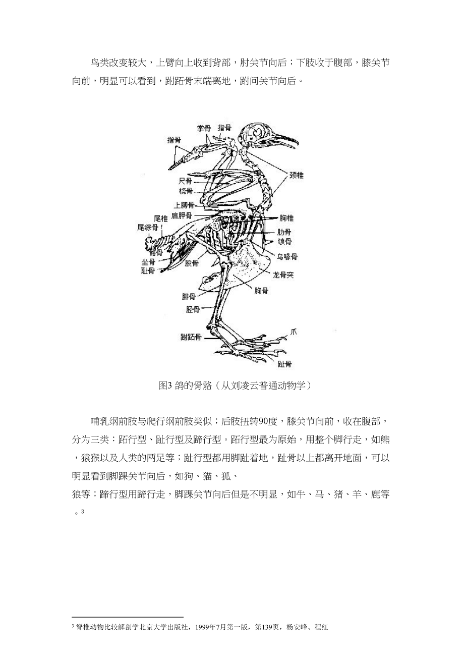 2023年动物附肢关节结构的分析和进化过程推演.docx_第3页