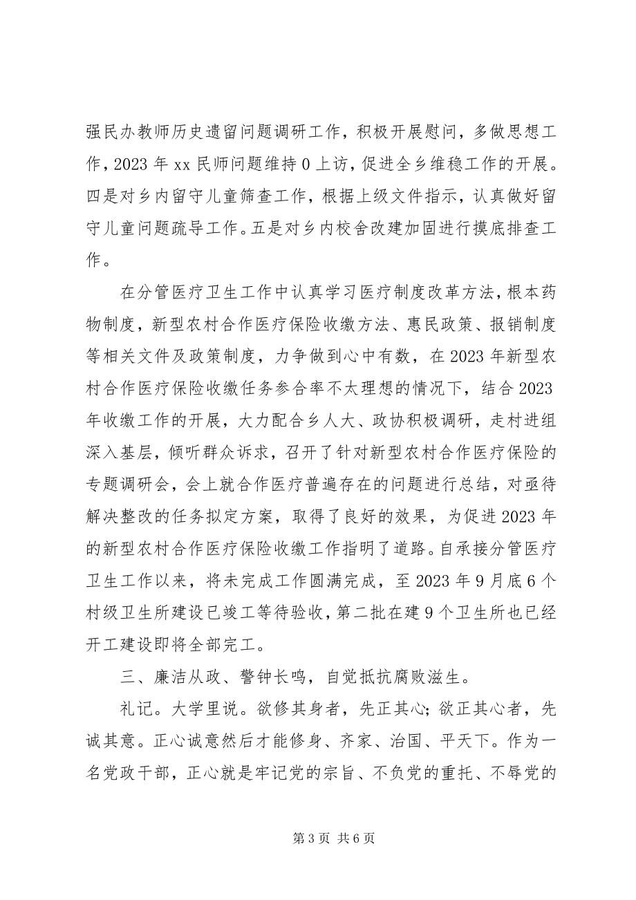 2023年副乡长述廉述德述职报告.docx_第3页