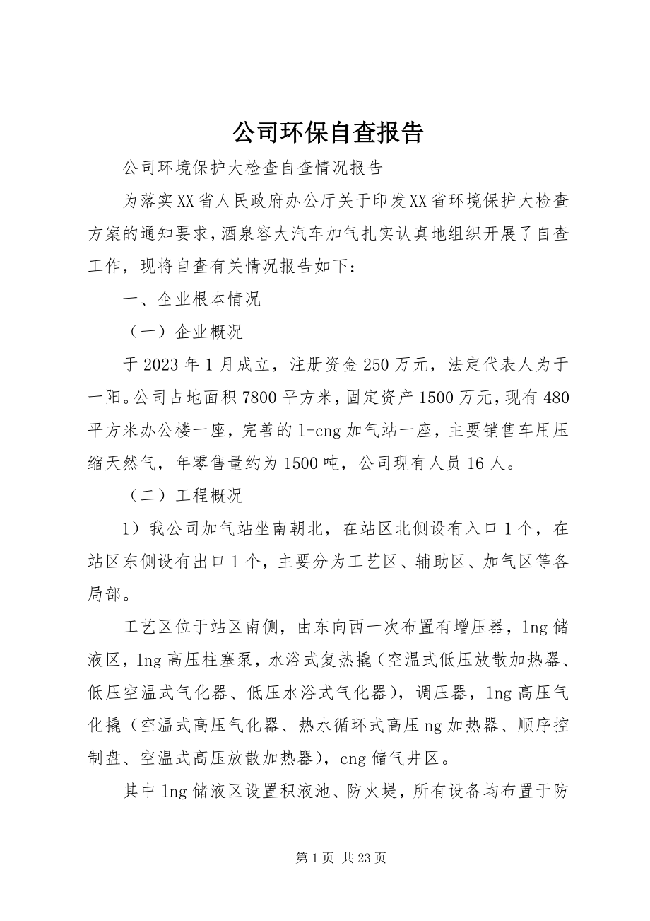 2023年公司环保自查报告.docx_第1页