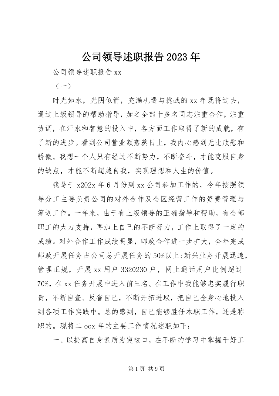 2023年公司领导述职报告某年.docx_第1页