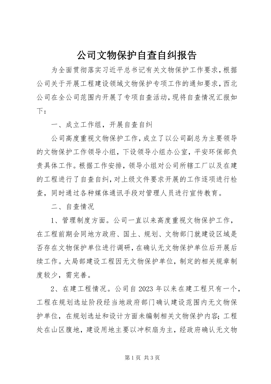 2023年公司文物保护自查自纠报告.docx_第1页