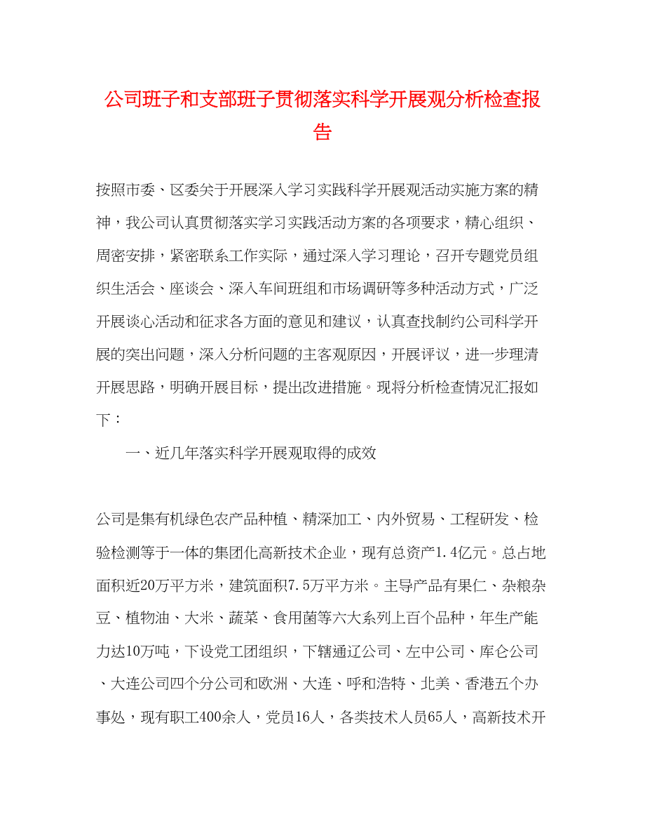 2023年公司班子和支部班子贯彻落实科学发展观分析检查报告.docx_第1页