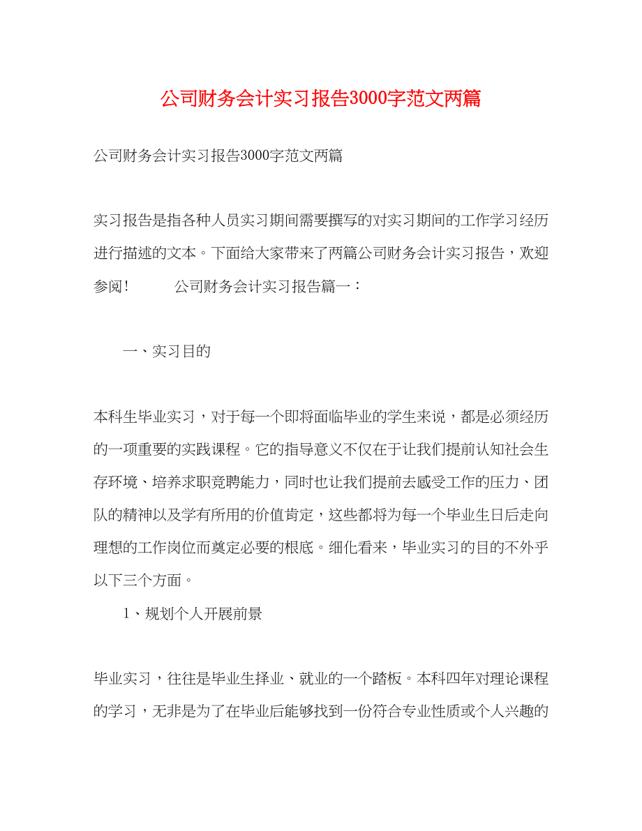 2023年公司财务会计实习报告3000字两篇.docx_第1页