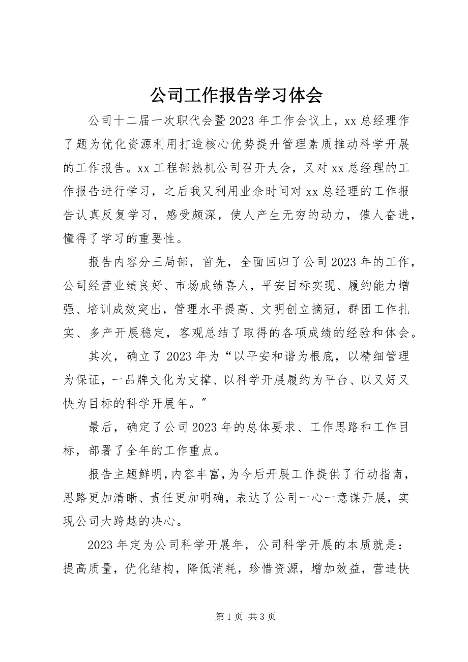 2023年公司工作报告学习体会.docx_第1页