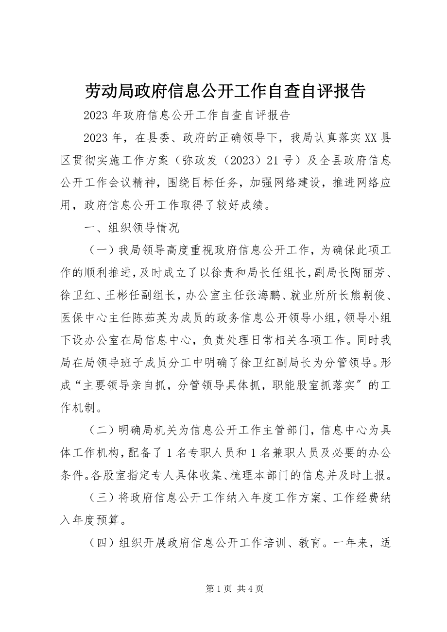 2023年劳动局政府信息公开工作自查自评报告.docx_第1页