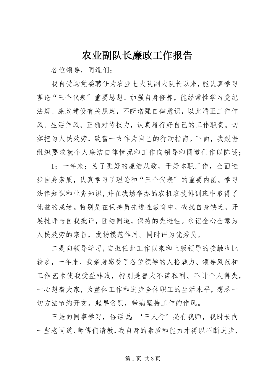 2023年农业副队长廉政工作报告.docx_第1页