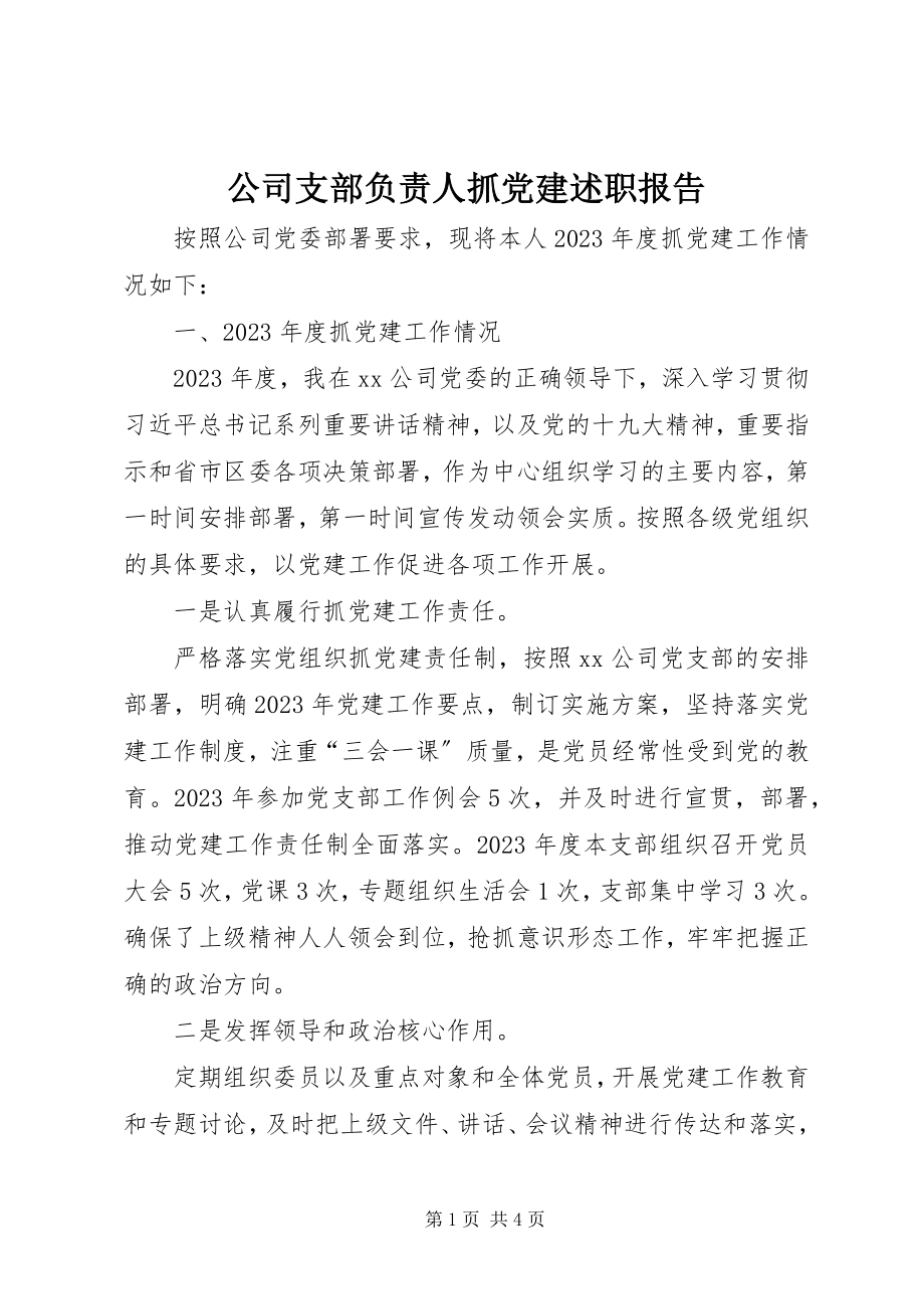 2023年公司支部负责人抓党建述职报告.docx_第1页