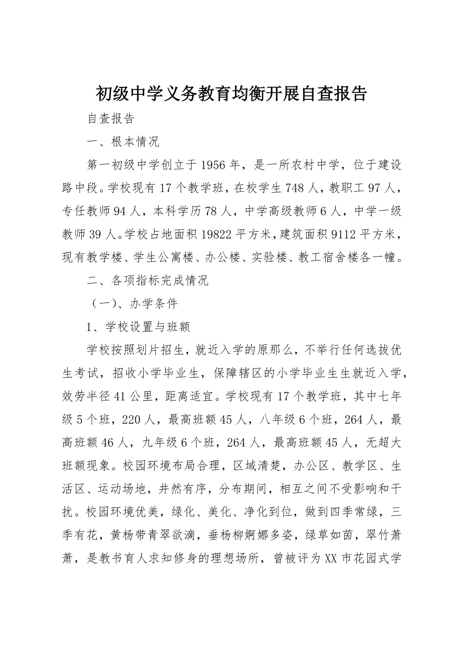 2023年初级中学义务教育均衡发展自查报告新编.docx_第1页