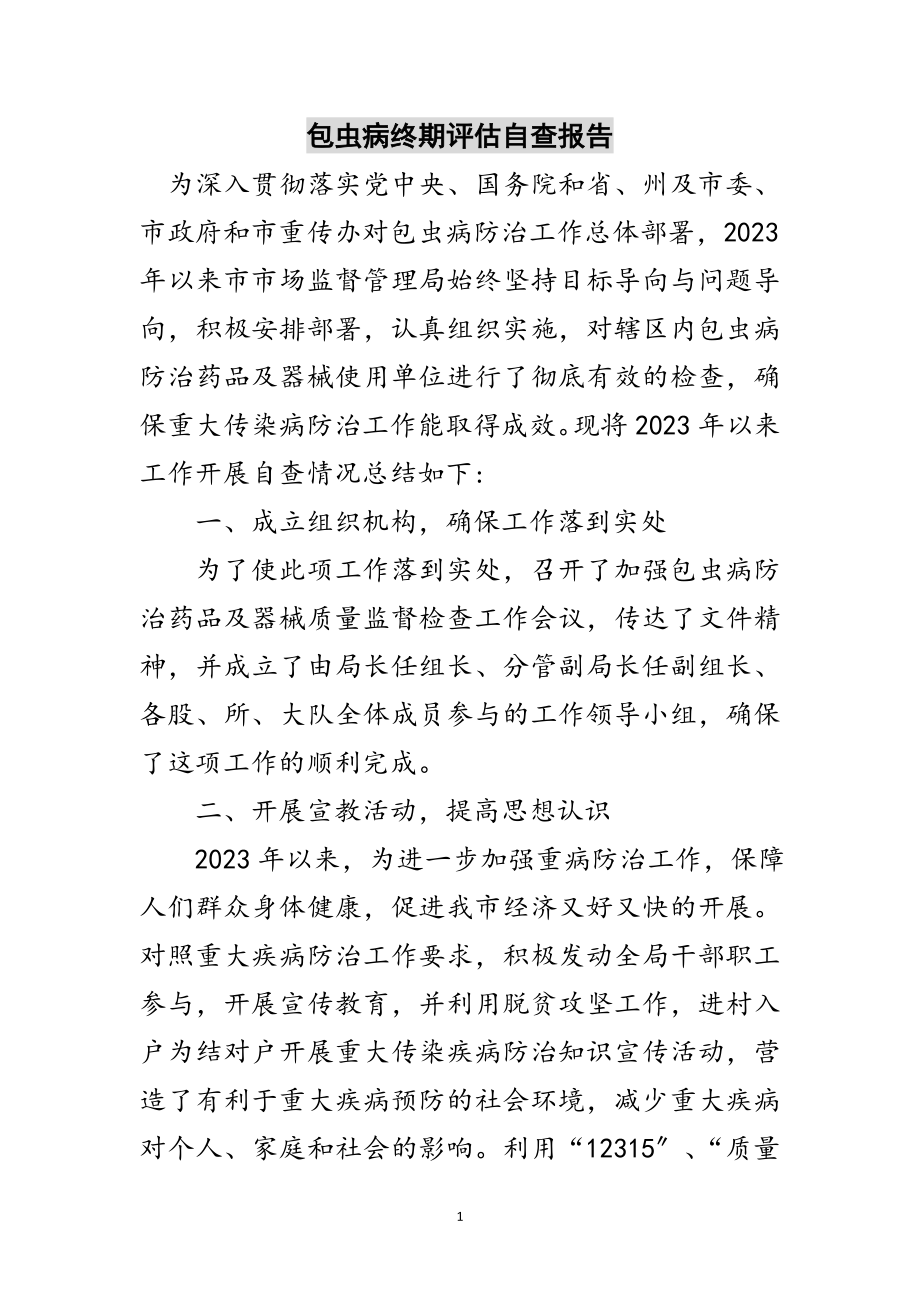 2023年包虫病终期评估自查报告范文.doc_第1页