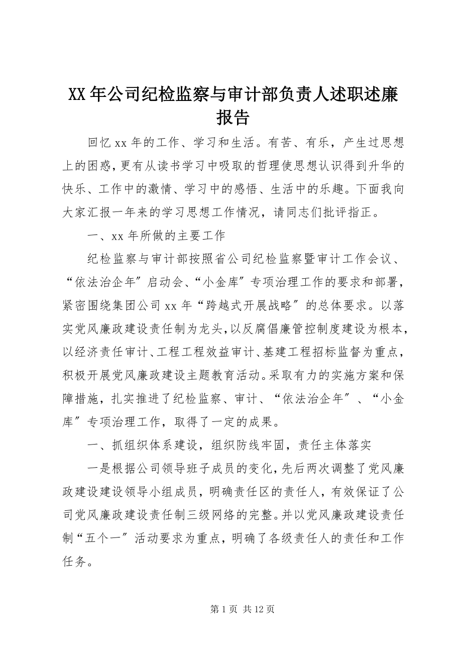 2023年公司纪检监察与审计部负责人述职述廉报告.docx_第1页