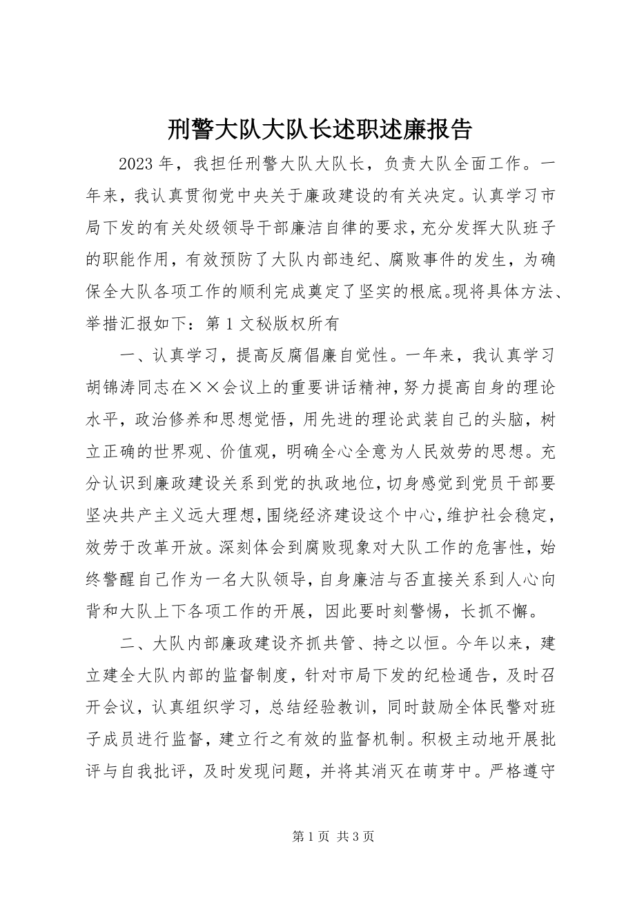 2023年刑警大队大队长述职述廉报告.docx_第1页