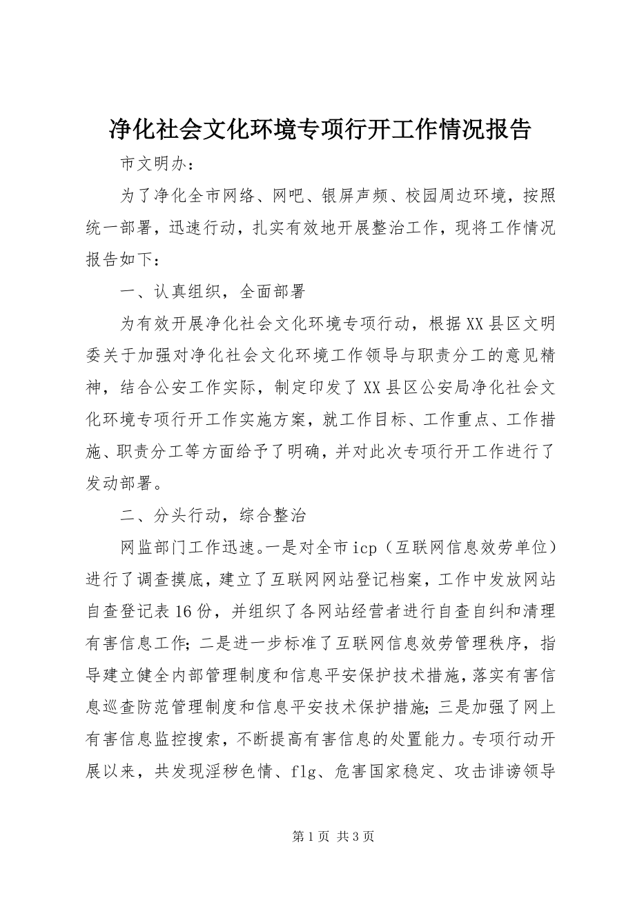 2023年净化社会文化环境专项行动工作情况报告.docx_第1页