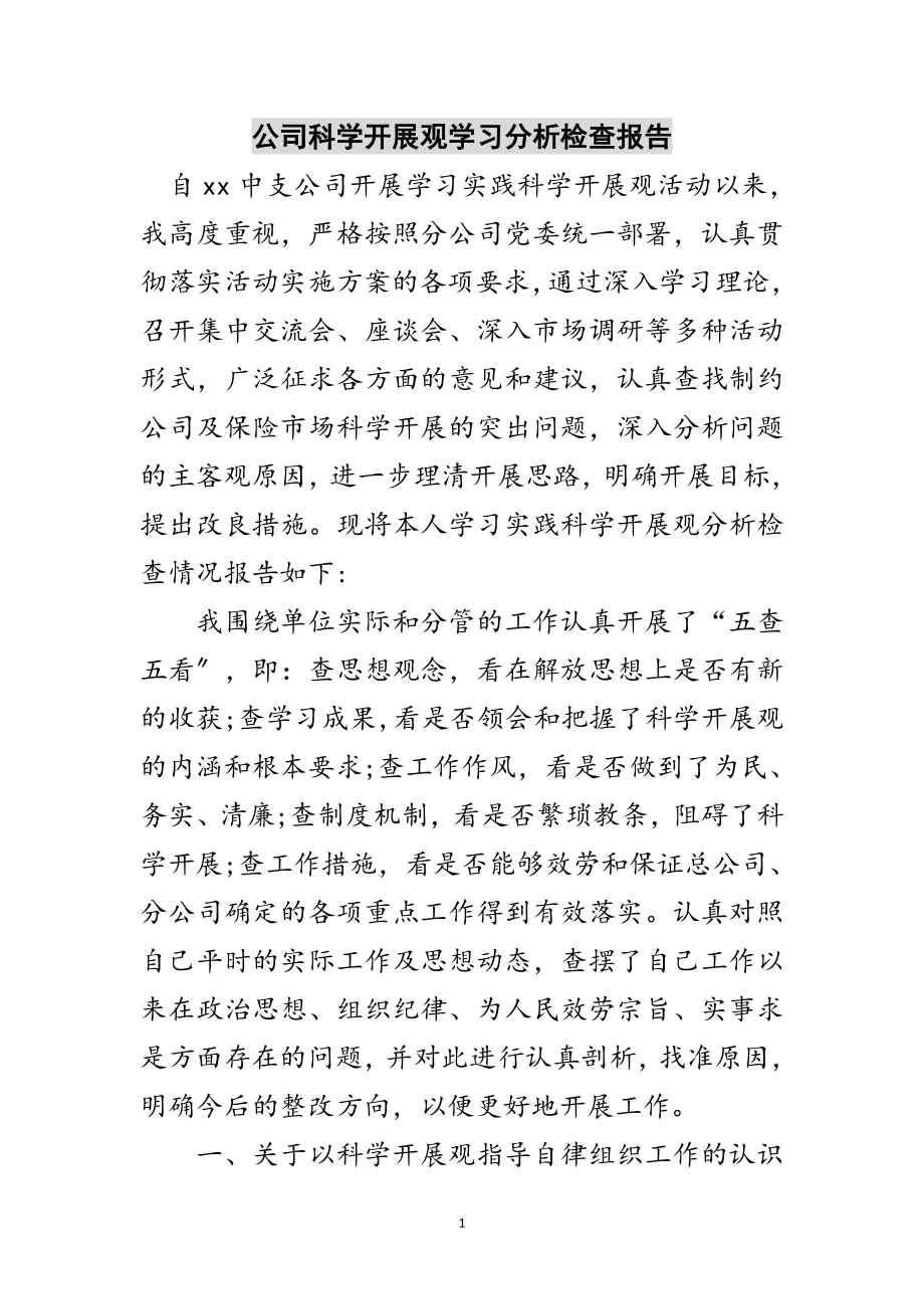 2023年公司科学发展观学习分析检查报告范文.doc_第1页