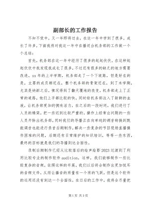 2023年副部长的工作报告.docx