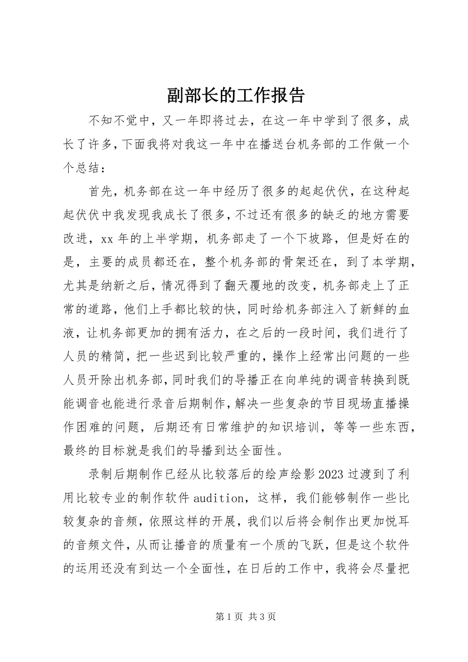 2023年副部长的工作报告.docx_第1页