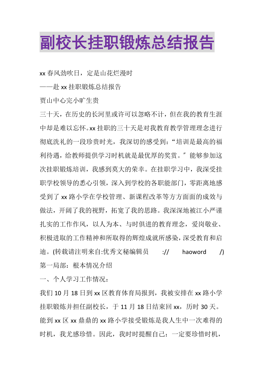 2023年副校长挂职锻炼总结报告.doc_第1页