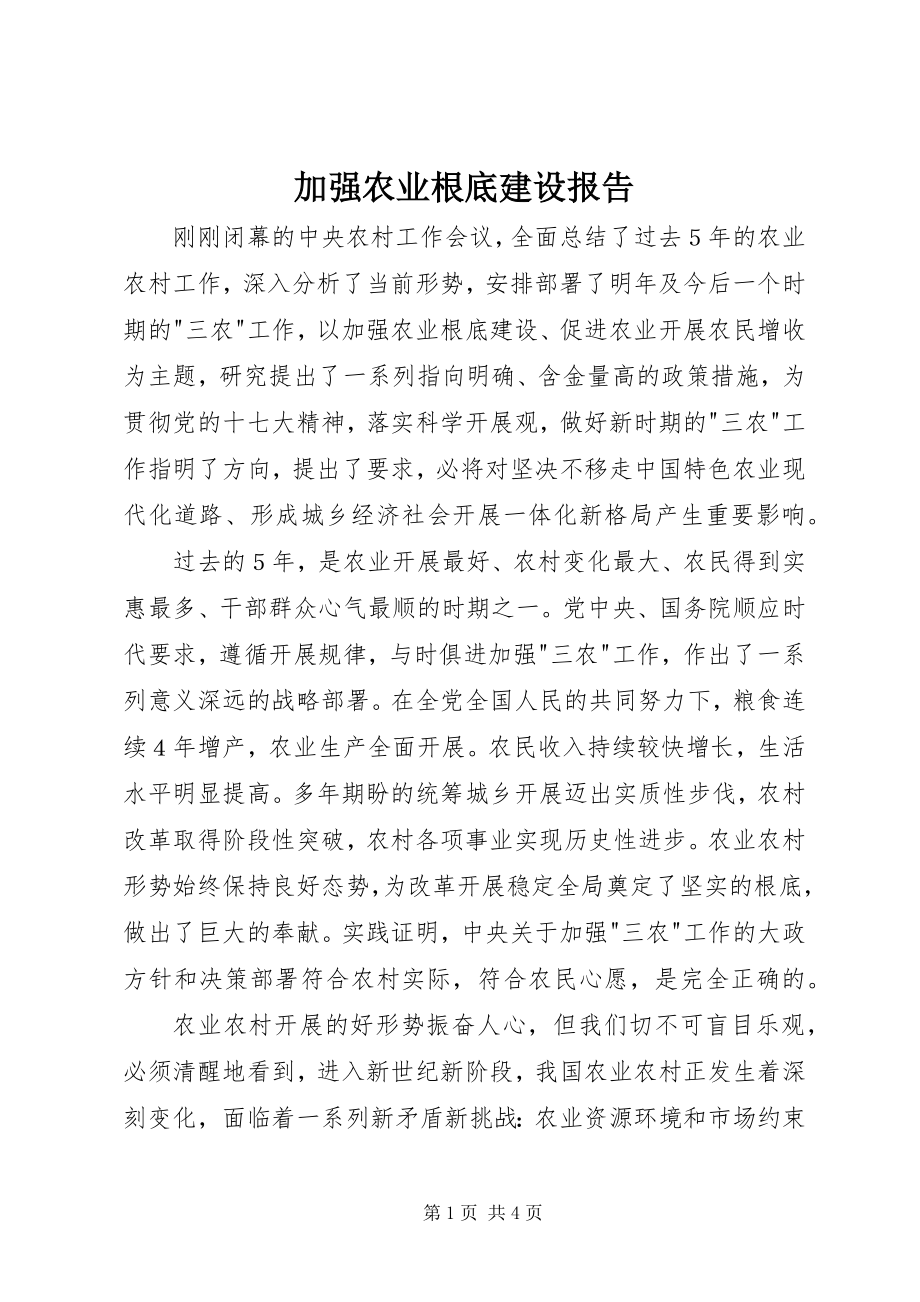 2023年加强农业基础建设报告.docx_第1页