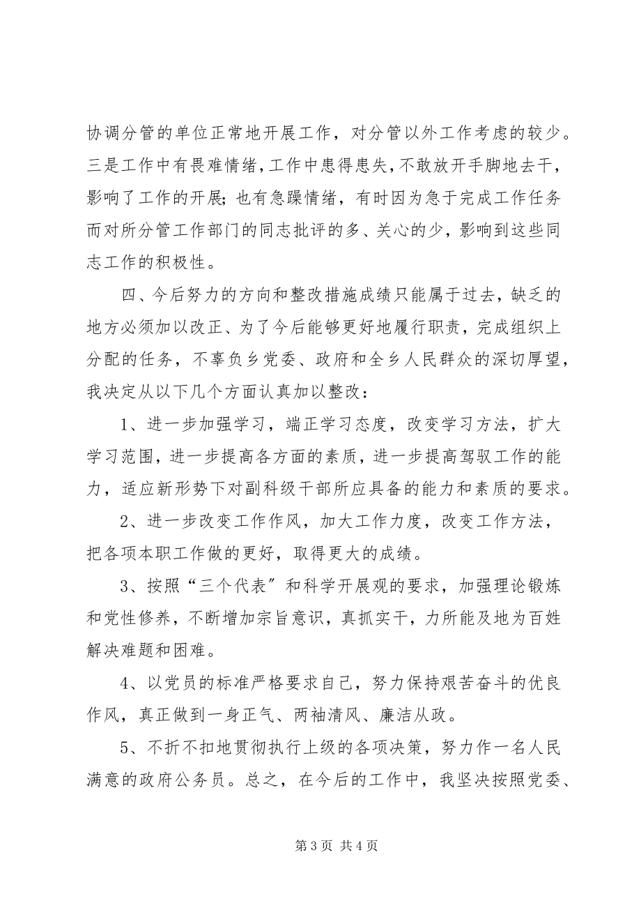 2023年副乡长述职述廉报告.docx_第3页