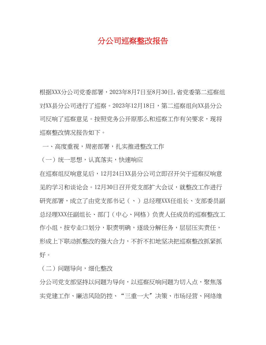 2023年分公司巡察整改报告.docx_第1页