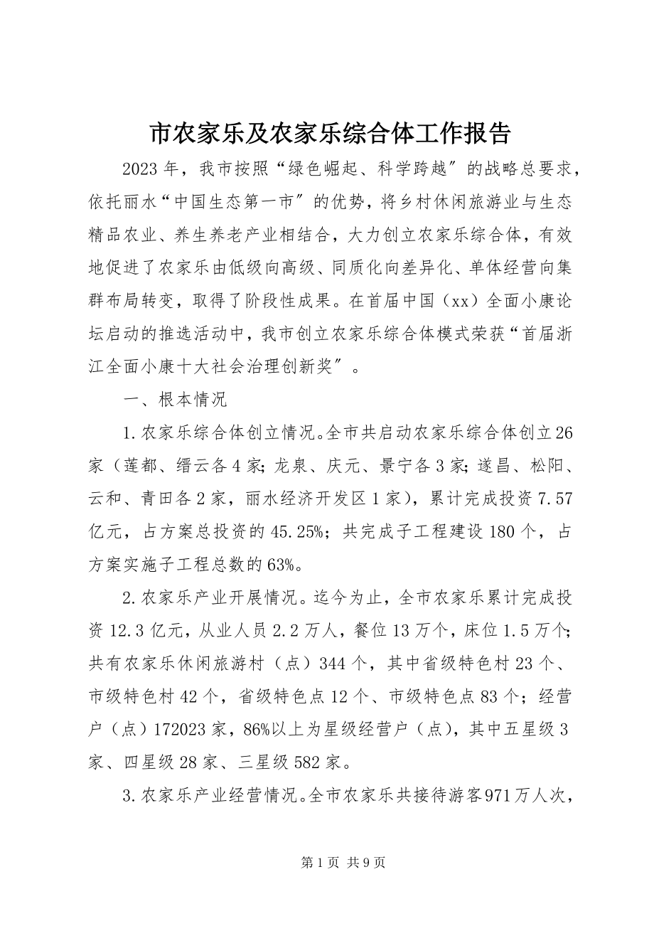 2023年市农家乐及农家乐综合体工作报告.docx_第1页