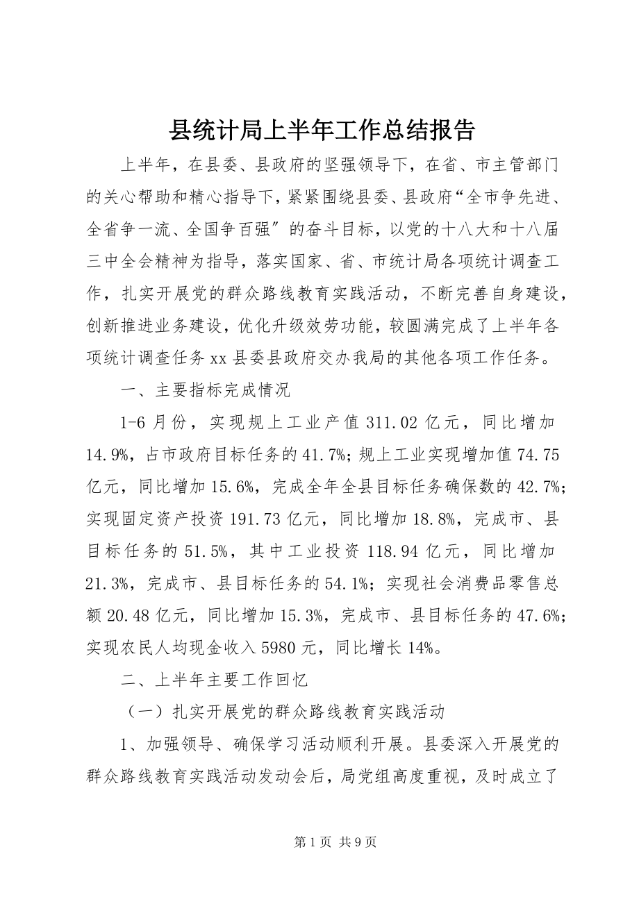 2023年县统计局上半年工作总结报告.docx_第1页