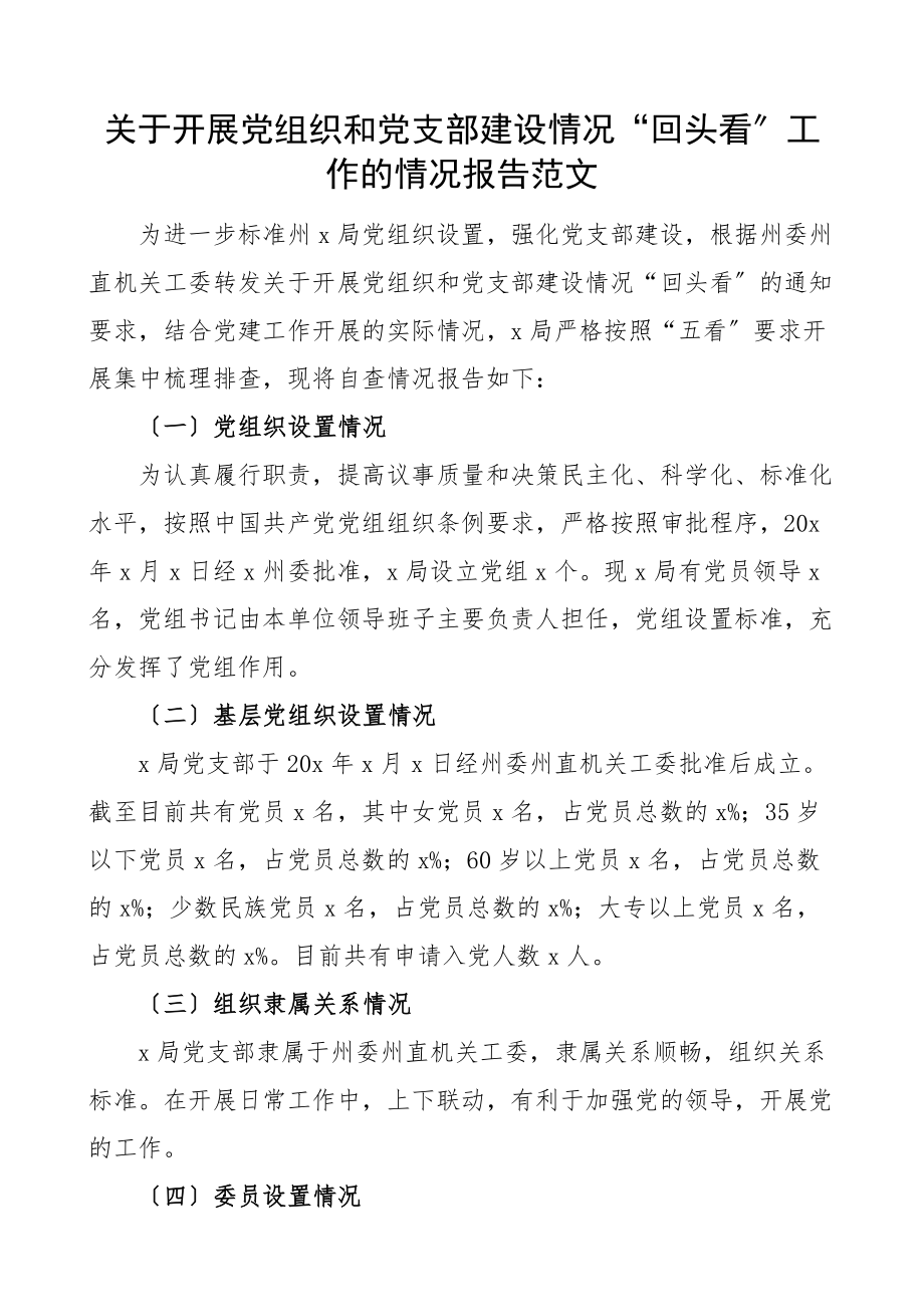 党组织和党支部建设情况回头看工作情况报告工作汇报总结.docx_第1页