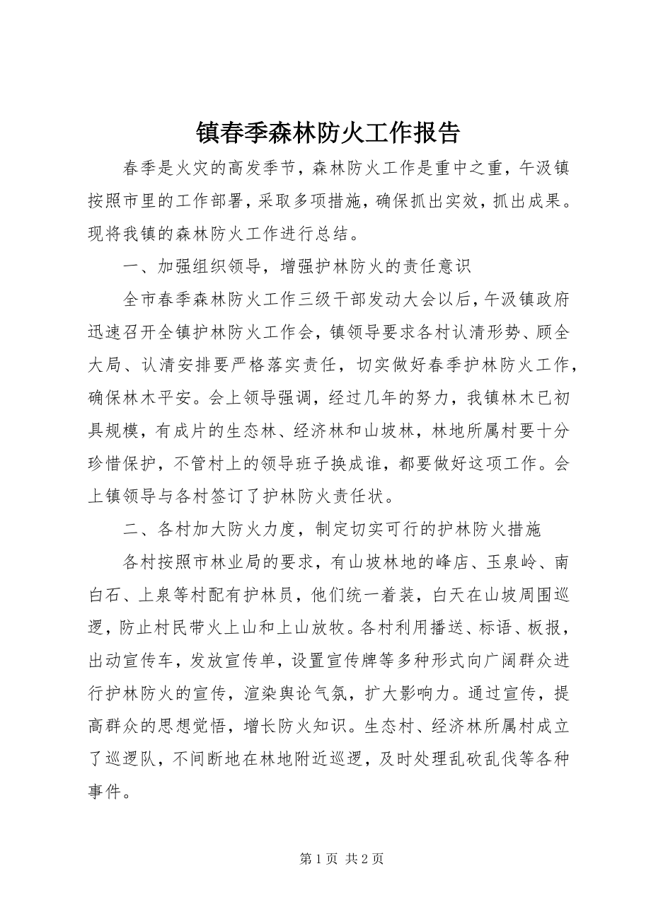 2023年镇春季森林防火工作报告.docx_第1页