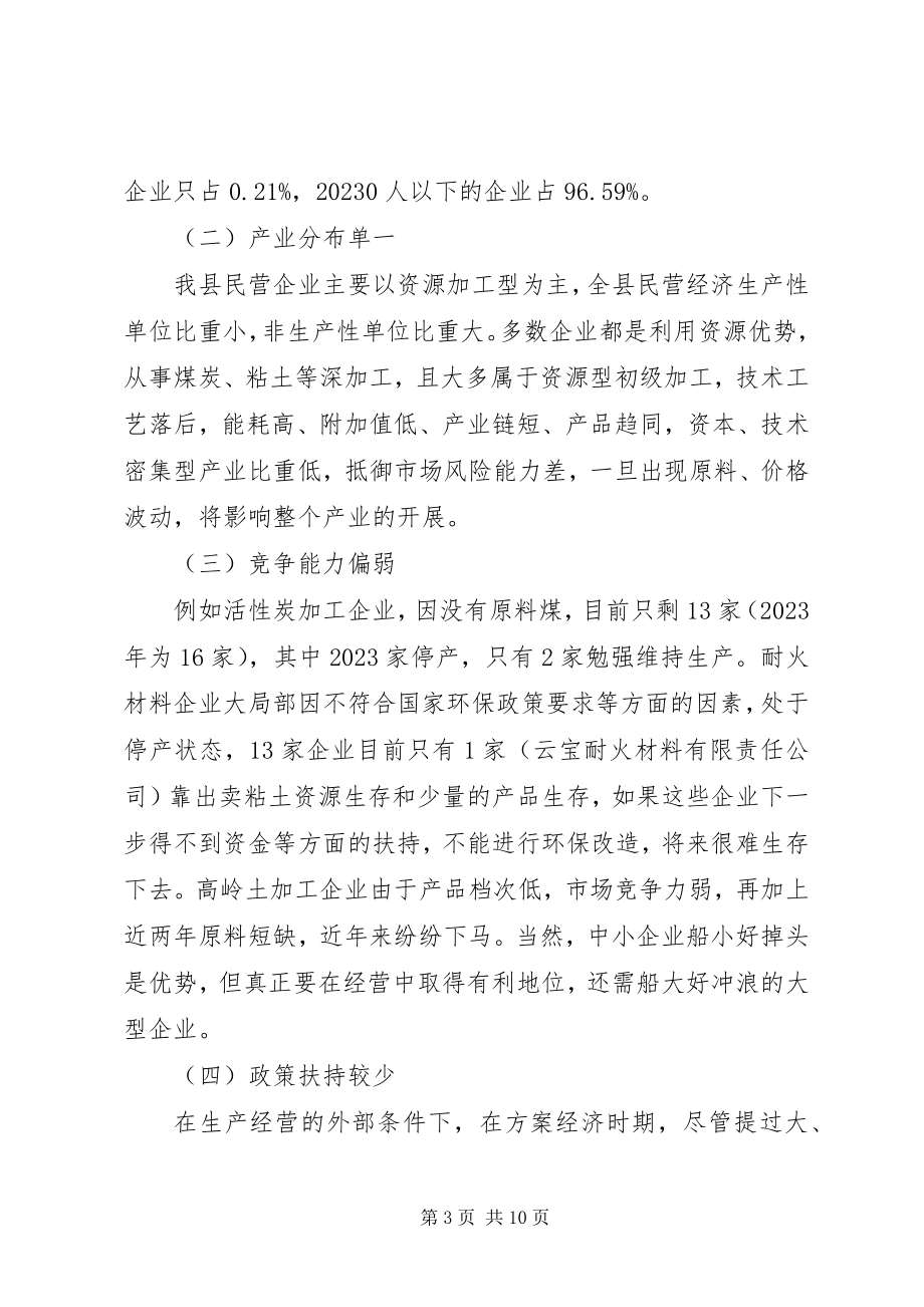 2023年民营企业的调研报告.docx_第3页