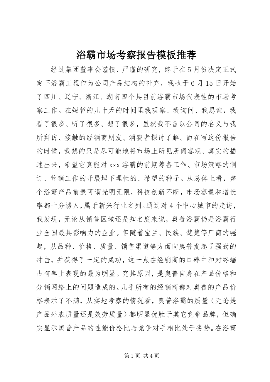 2023年浴霸市场考察报告模板推荐.docx_第1页