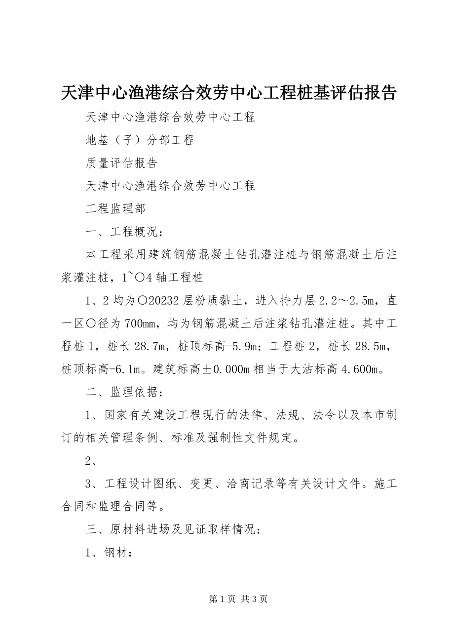 2023年天津中心渔港综合服务中心工程桩基评估报告.docx_第1页