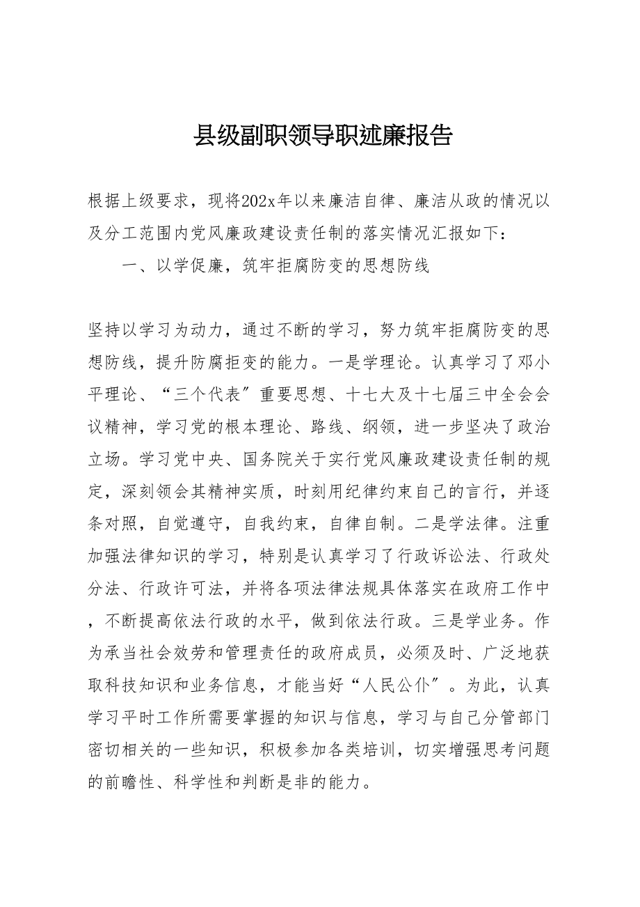 2023年县级副职领导职述廉报告.doc_第1页