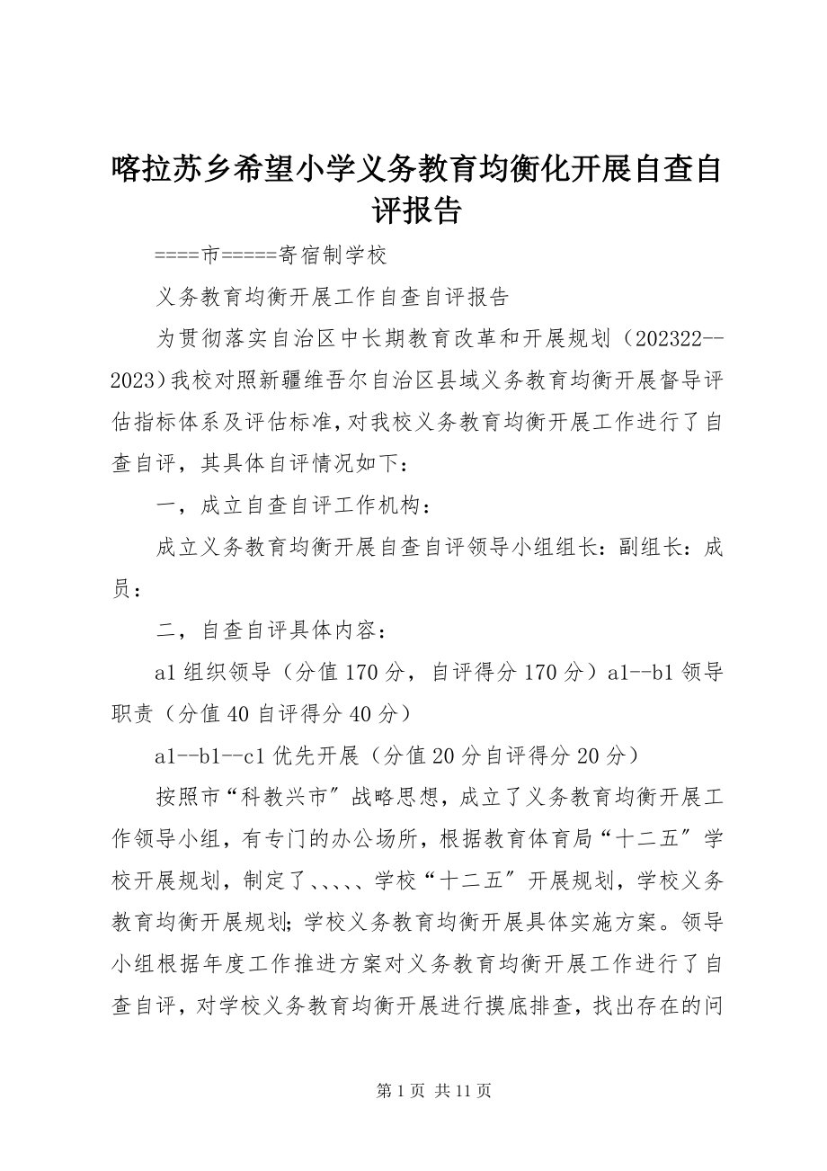 2023年喀拉苏乡希望小学义务教育均衡化发展自查自评报告.docx_第1页