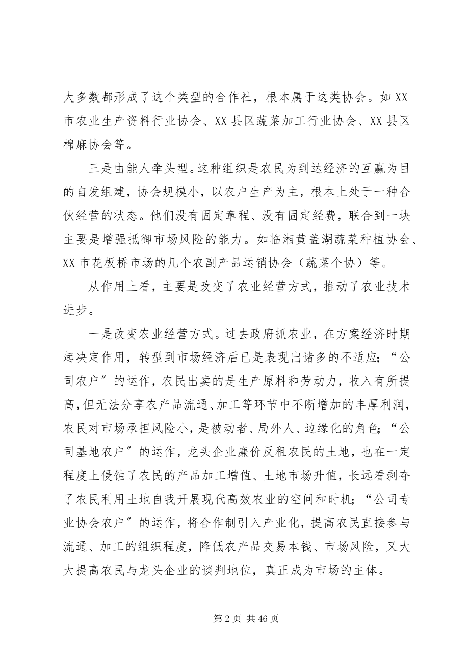 2023年发展农业行业协会的对策措施.docx_第2页