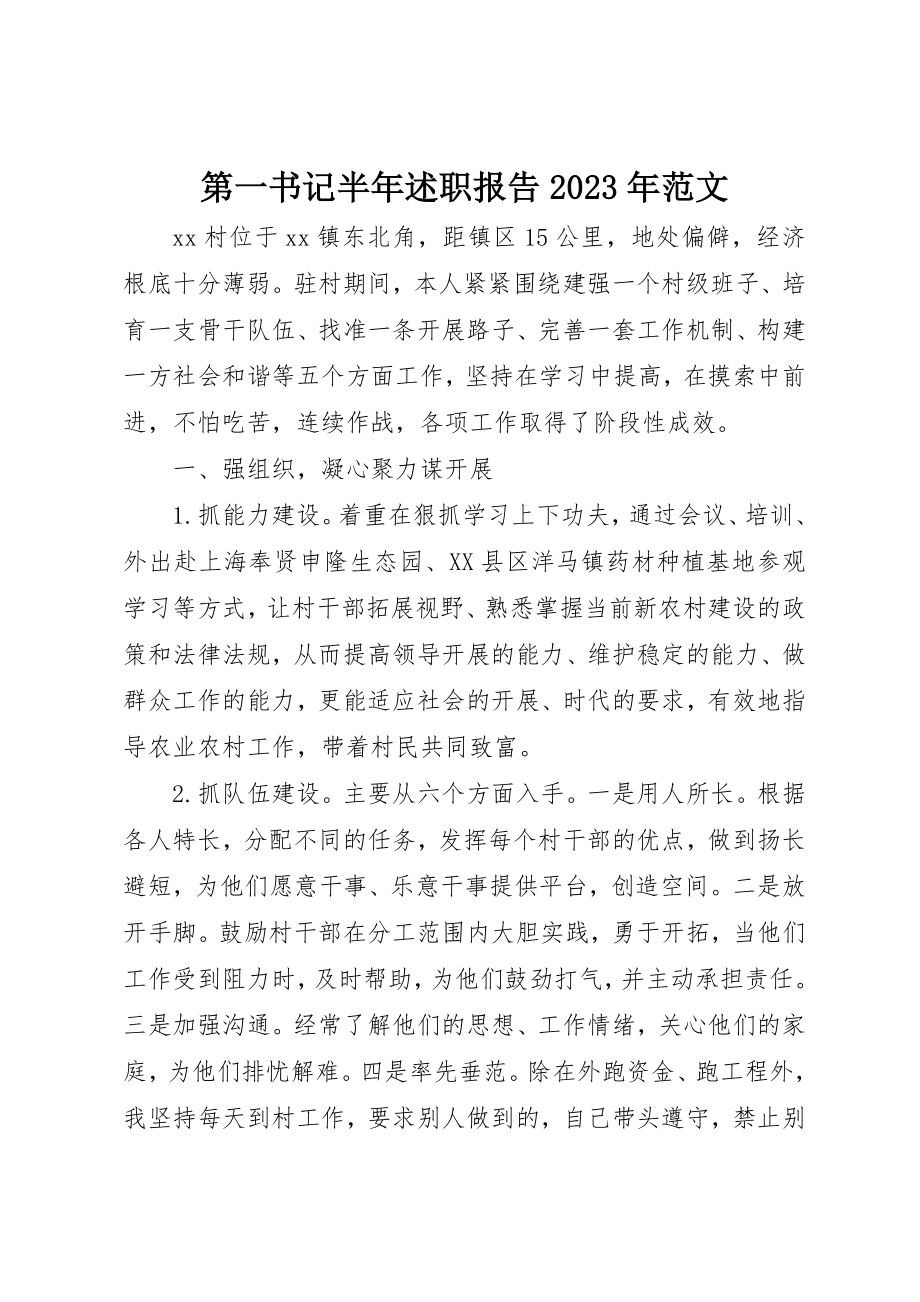 2023年第一书记半年述职报告某年新编.docx_第1页