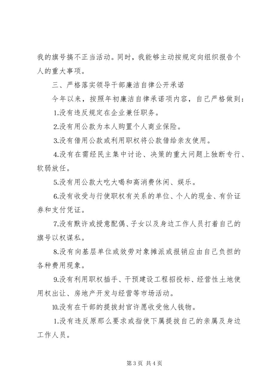 2023年政府常务副区长述廉报告.docx_第3页