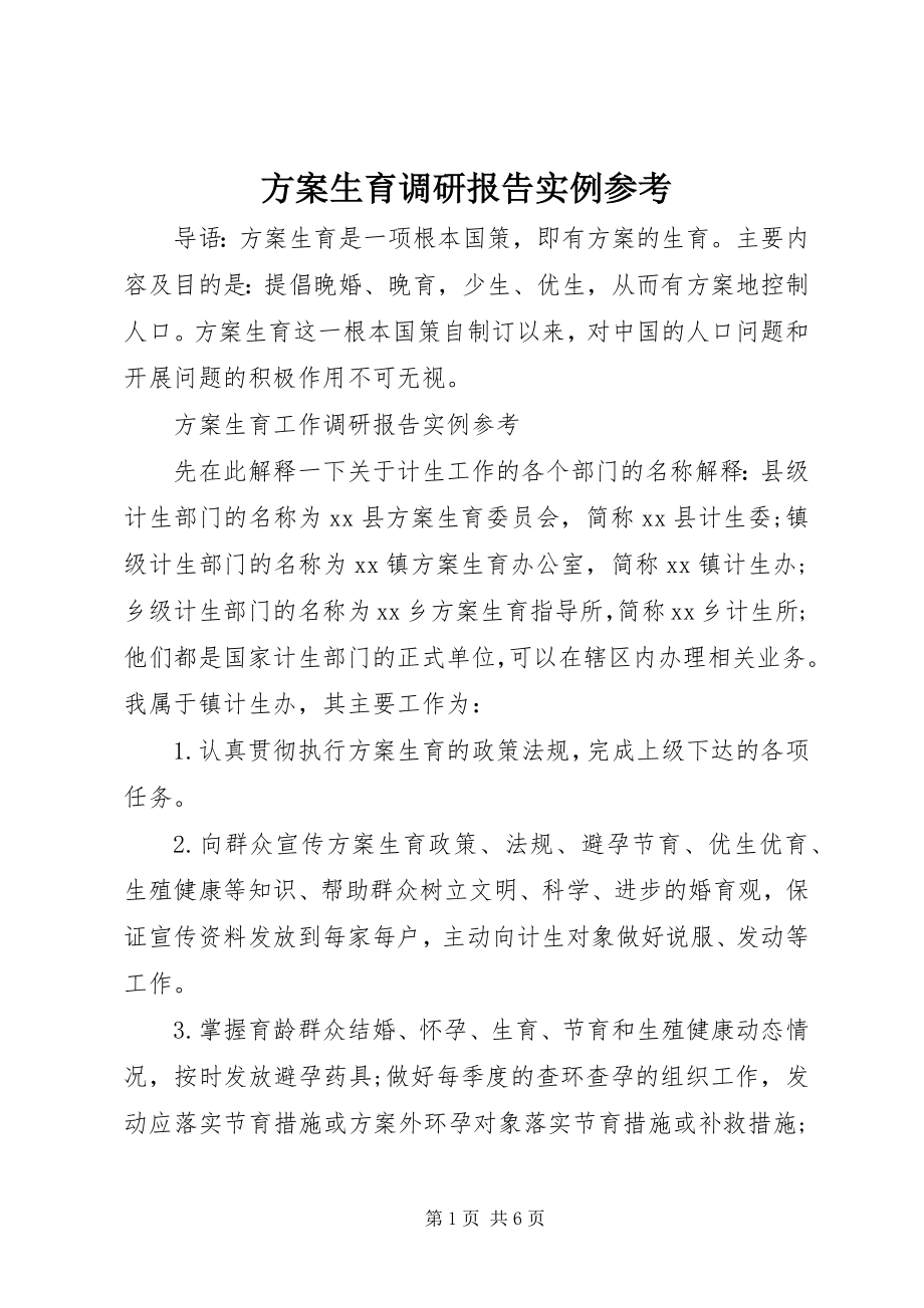 2023年计划生育调研报告实例参考.docx_第1页