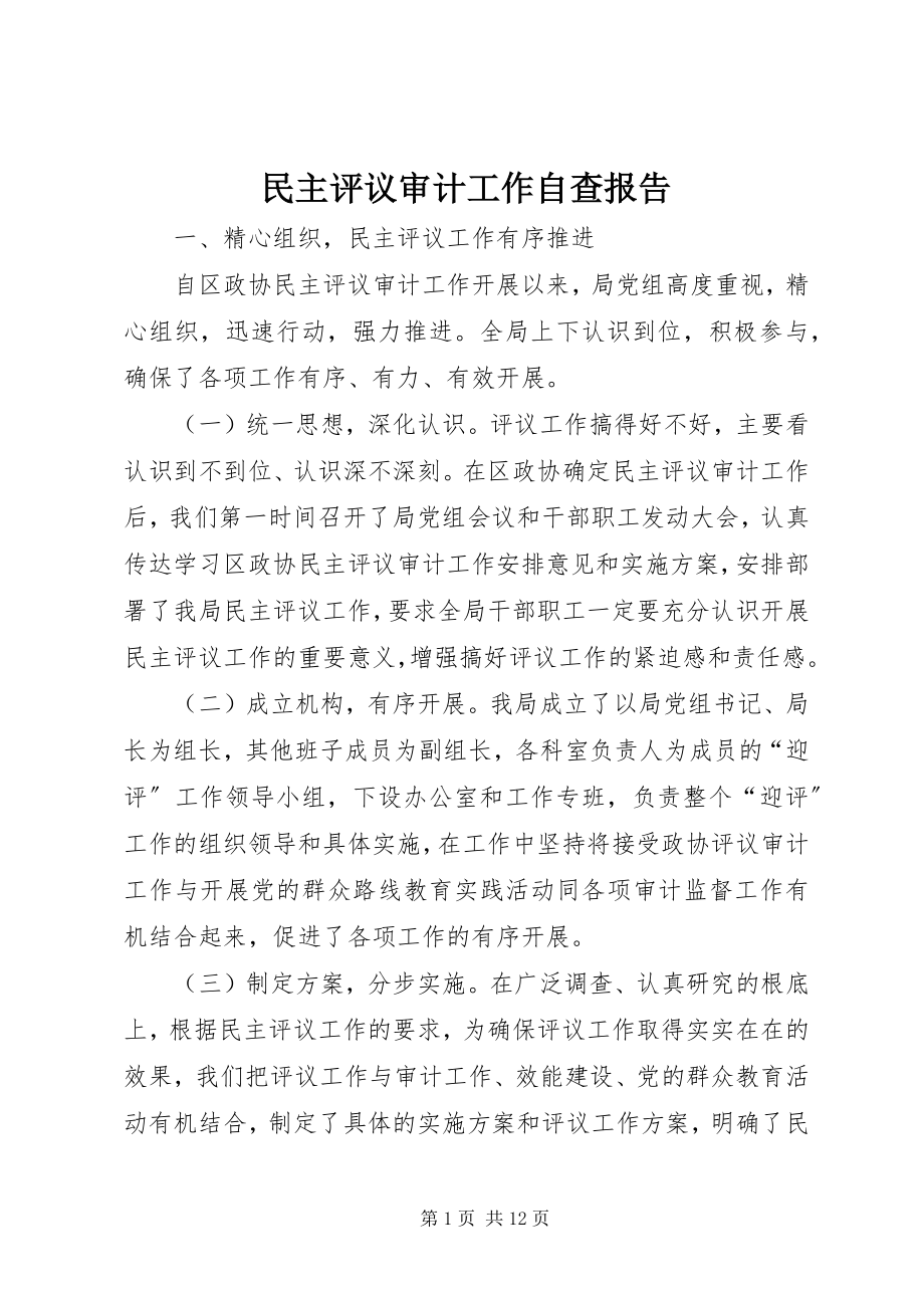 2023年民主评议审计工作自查报告.docx_第1页