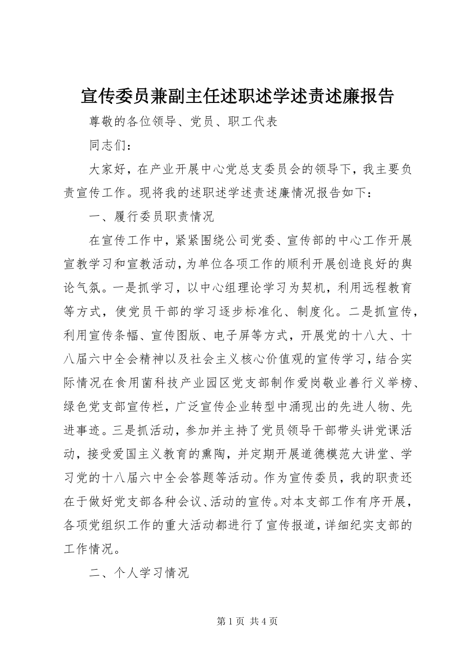 2023年宣传委员兼副主任述职述学述责述廉报告.docx_第1页