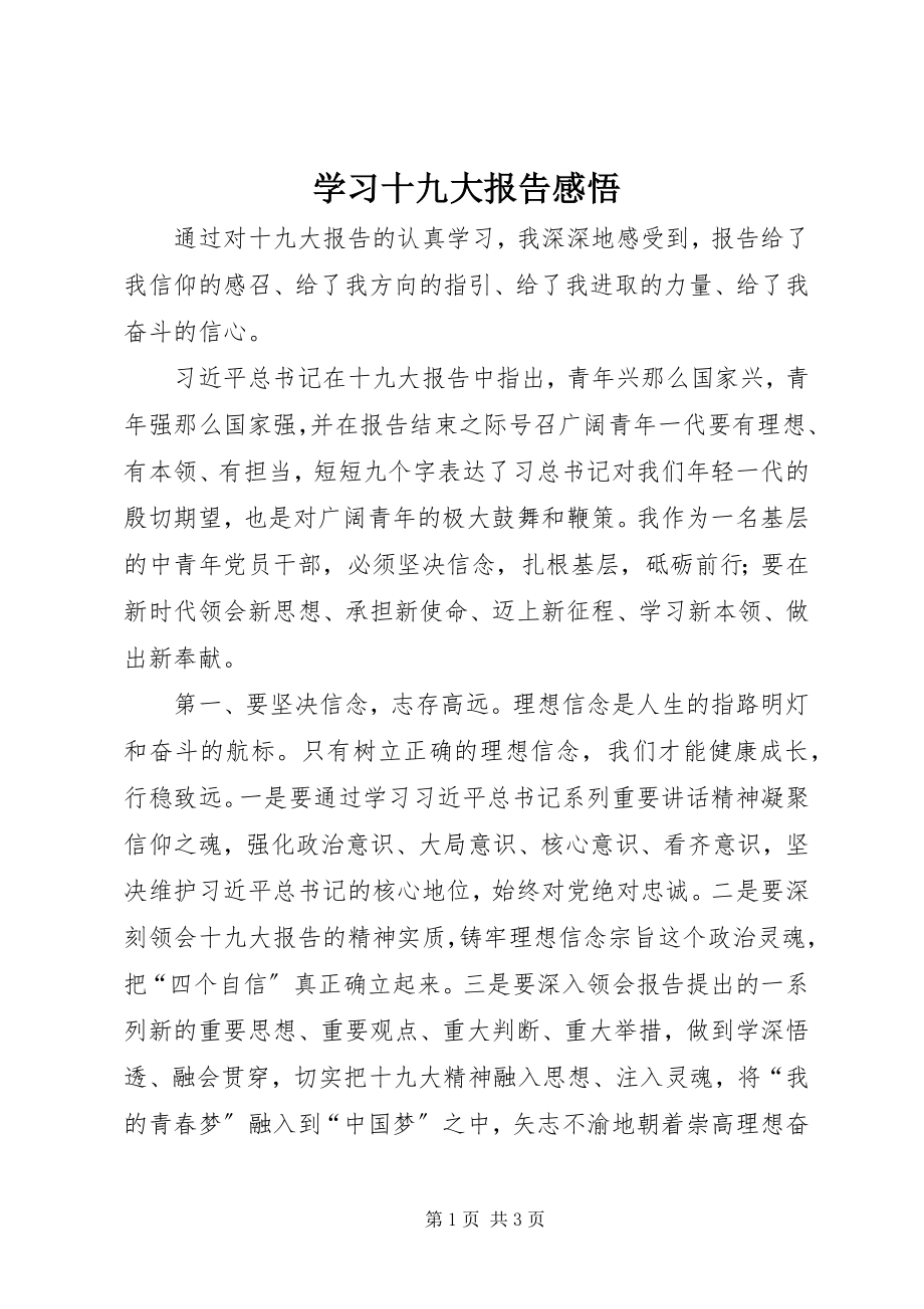 2023年学习十九大报告感悟.docx_第1页