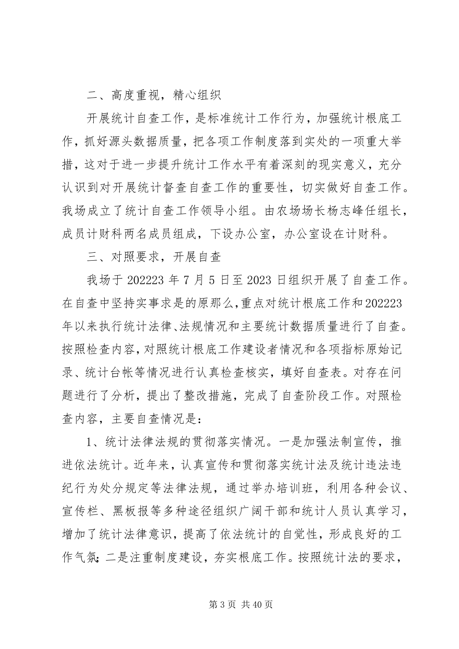 2023年统计自查自纠报告.docx_第3页