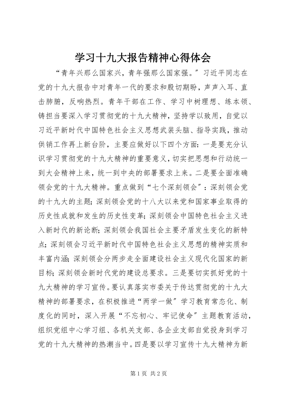 2023年学习十九大报告精神心得体会.docx_第1页