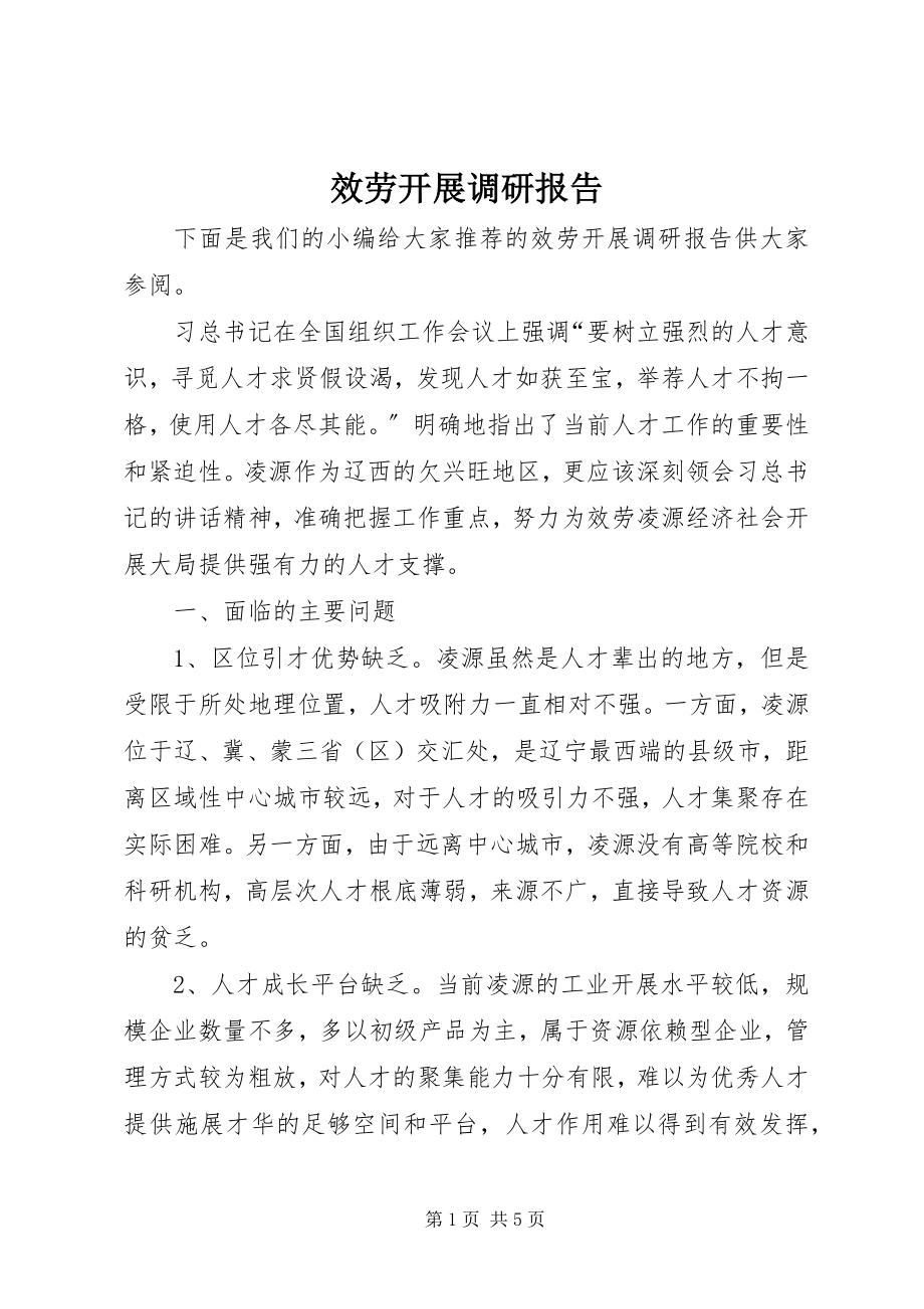 2023年服务发展调研报告.docx_第1页