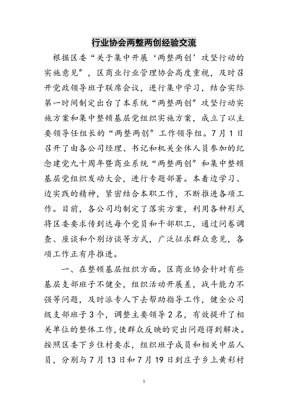 2023年行业协会两整两创经验交流范文.doc_第1页