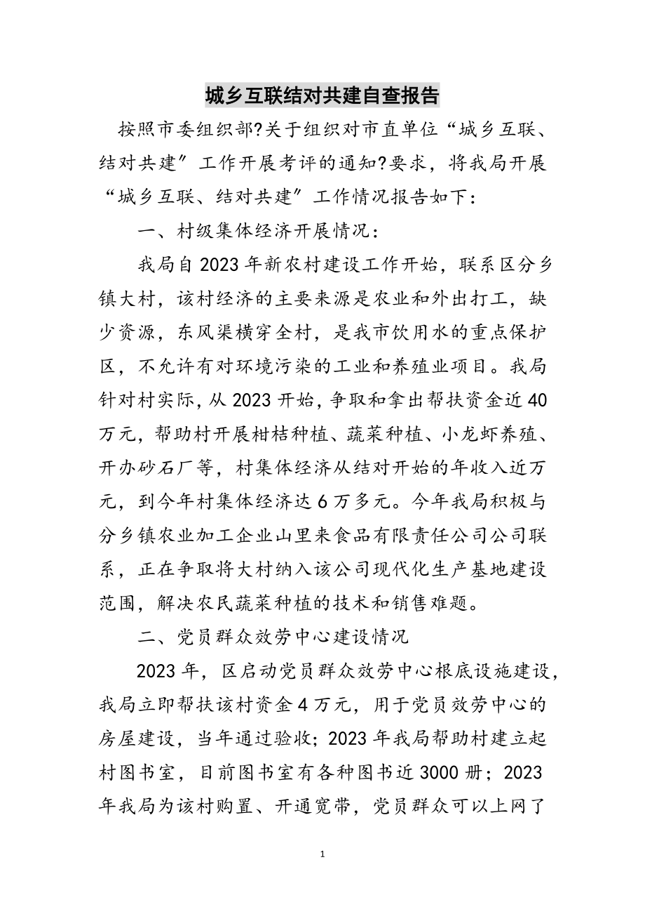 2023年城乡互联结对共建自查报告范文.doc_第1页