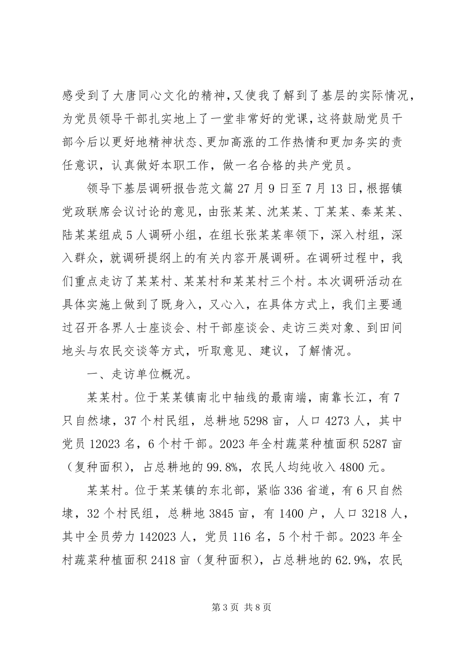 2023年领导下基层调研报告.docx_第3页