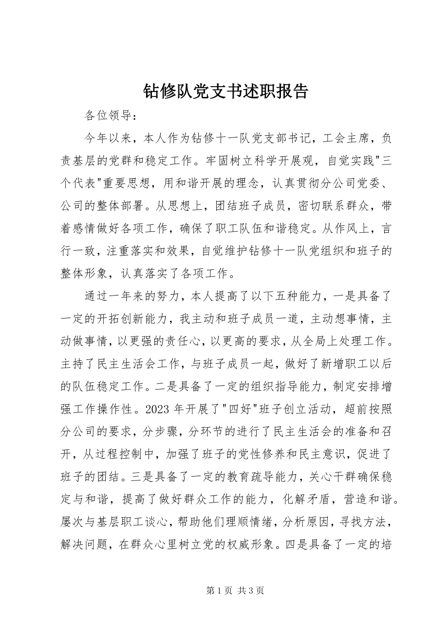 2023年钻修队党支书述职报告.docx_第1页