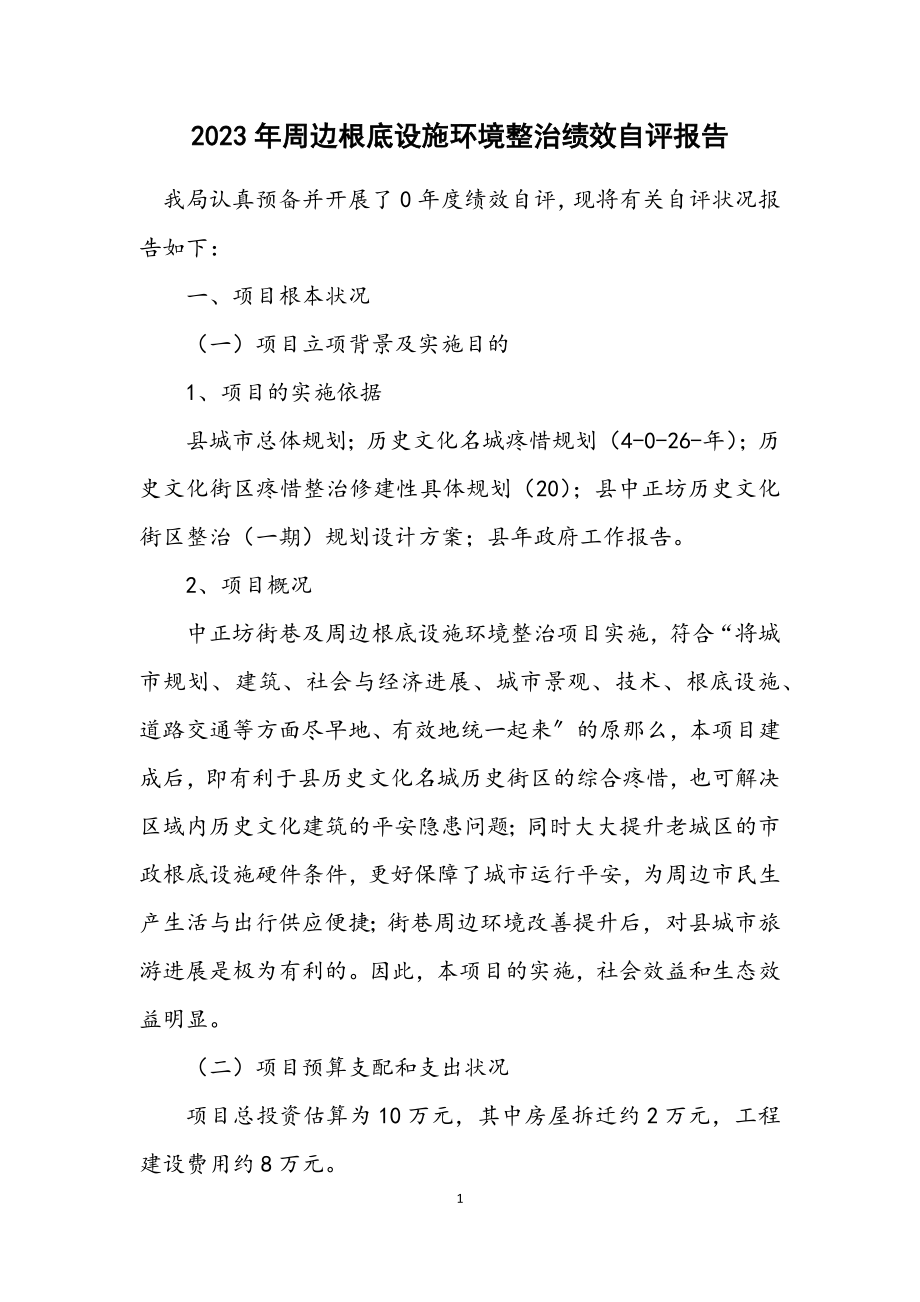 2023年周边基础设施环境整治绩效自评报告.docx_第1页