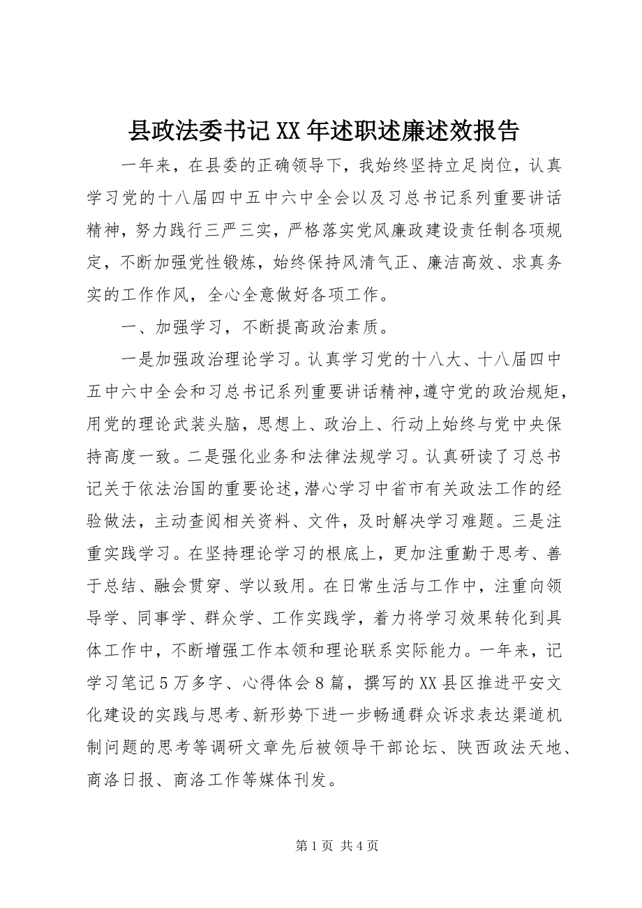 2023年县政法委书记述职述廉述效报告.docx_第1页